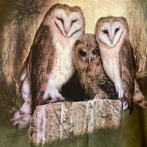 The Mountain Vintage 2009 owl tie dye shirt - Picture 2 of 4